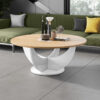 HUBERTUS Design — CAPRI-24