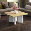 DIVERSO-4 HUBERTUS Design — DIVERSO-4