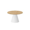 PINETO_MINI_model_artisanb HUBERTUS Design — PINETO_MINI_model_artisanb