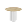 RAVEO-10 HUBERTUS Design — RAVEO-10