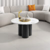 RAVEO_MINI-6 HUBERTUS Design — RAVEO_MINI-6