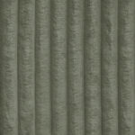 TILIA 37